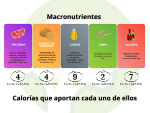 calorías macronutrientes
