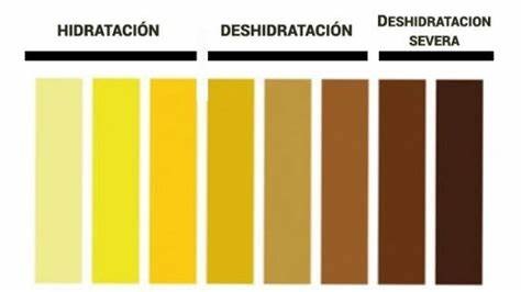 hidratación, color de la orina 