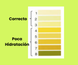 Infografía con señales de deshidratación como sed intensa, calambres musculares, cansancio y orina oscura.